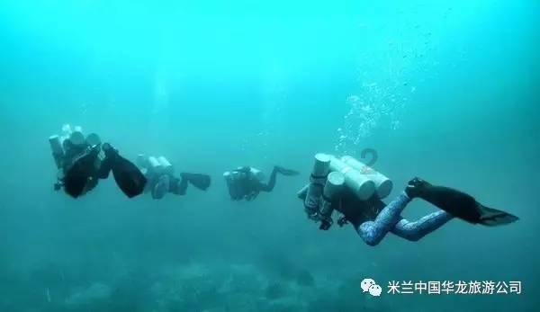 球球大作战下载最新版